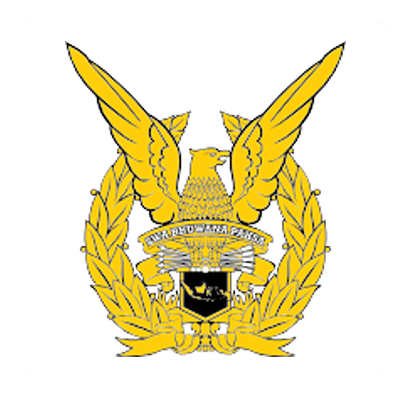 The Indonesian Air Force
